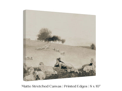 Shepherdess | P397