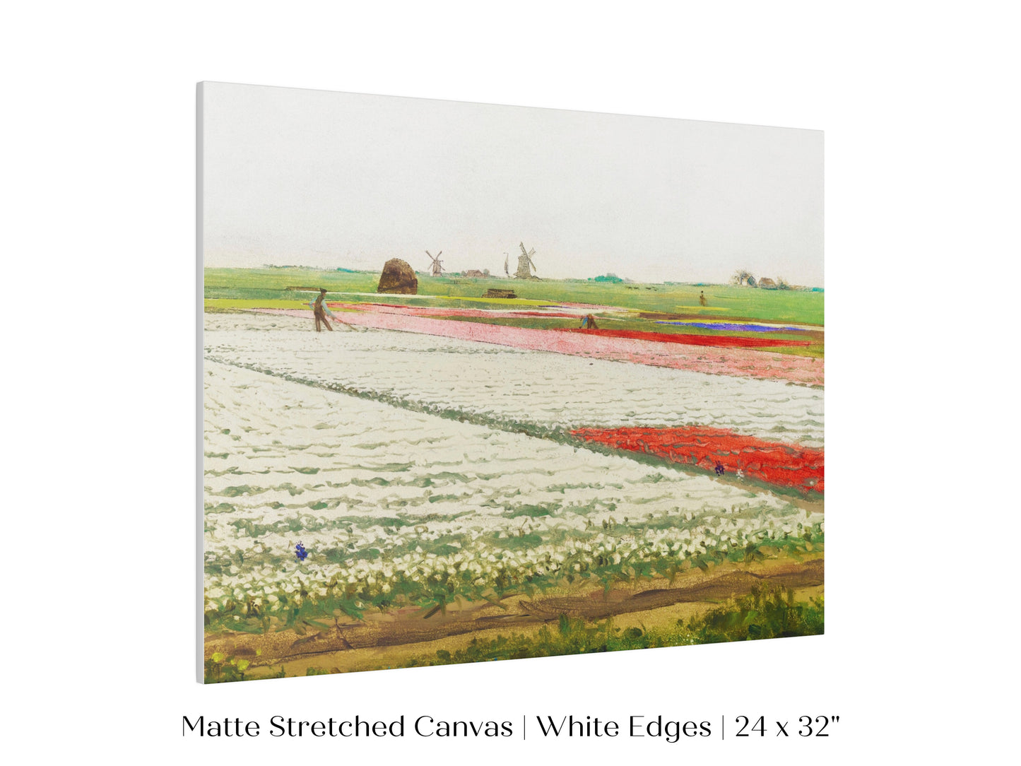 Tulip Fields | P108