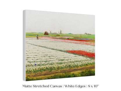 Tulip Fields | P108