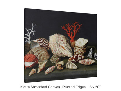 Still Life with Shells and Coral | P429