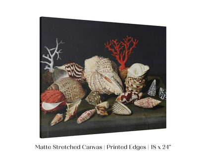 Still Life with Shells and Coral | P429
