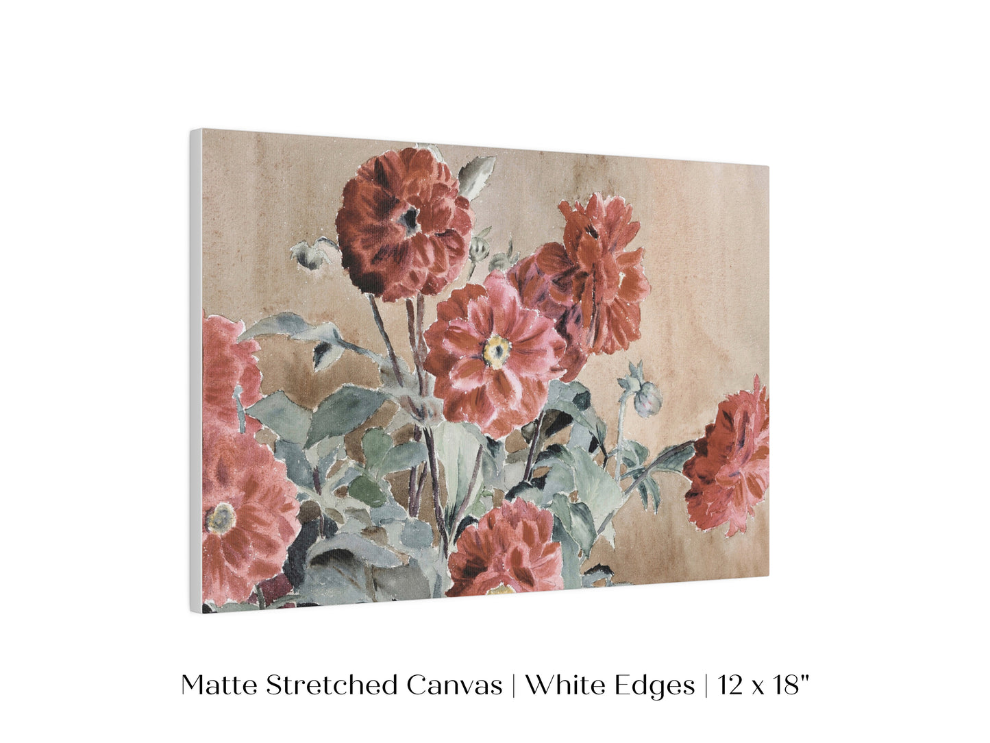 Dahlias | P390