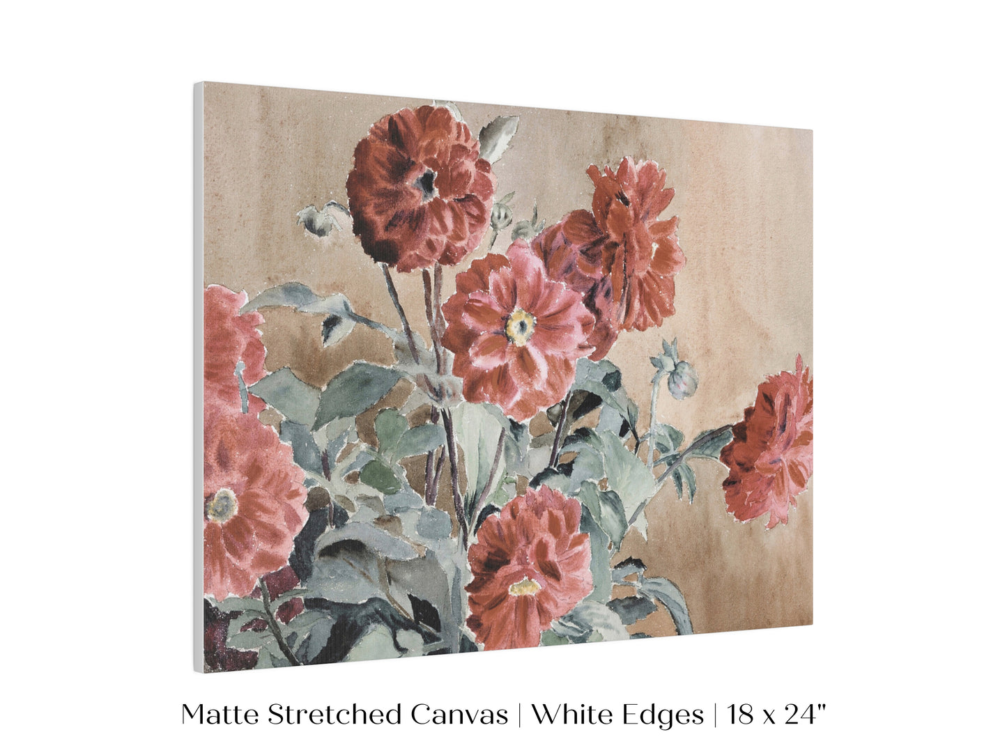 Dahlias | P390
