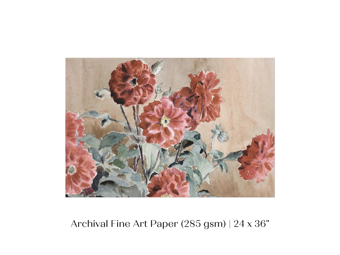 Dahlias | P390