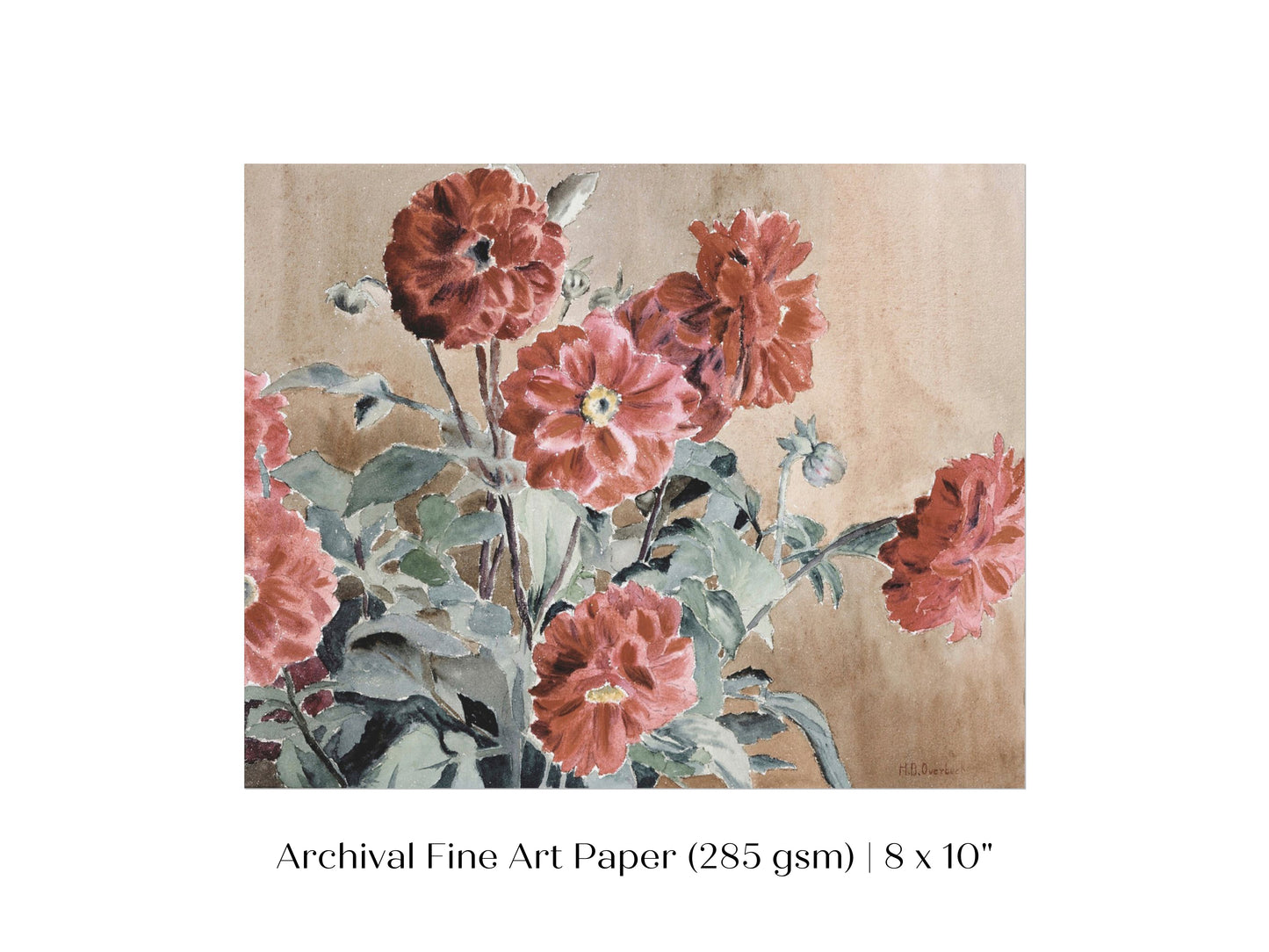 Dahlias | P390