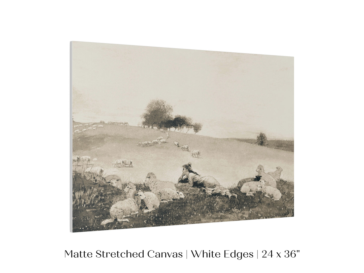 Shepherdess | P397