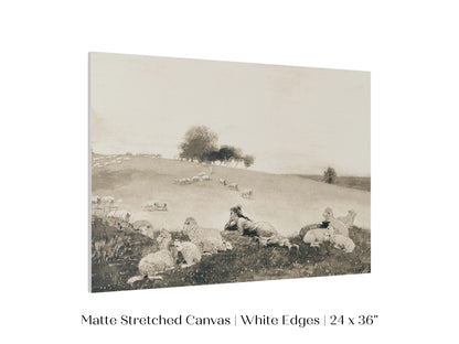 Shepherdess | P397