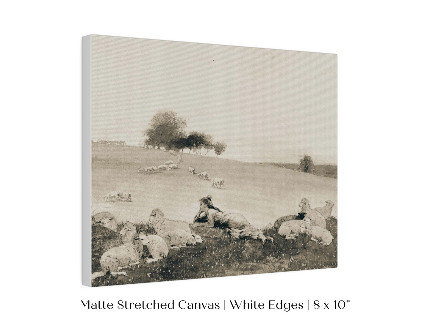 Shepherdess | P397