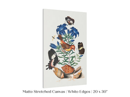 Bird, Shells and Butterflies | P158
