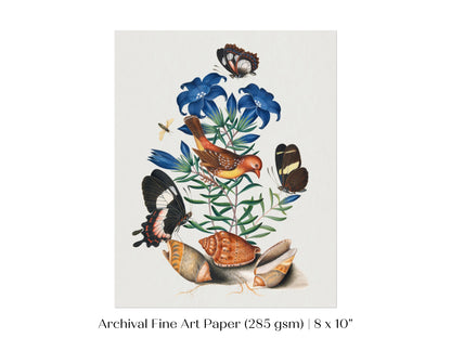 Bird, Shells and Butterflies | P158