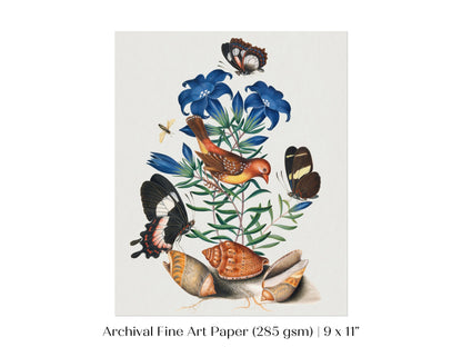 Bird, Shells and Butterflies | P158