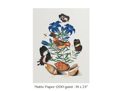 Bird, Shells and Butterflies | P158