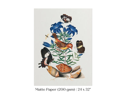 Bird, Shells and Butterflies | P158