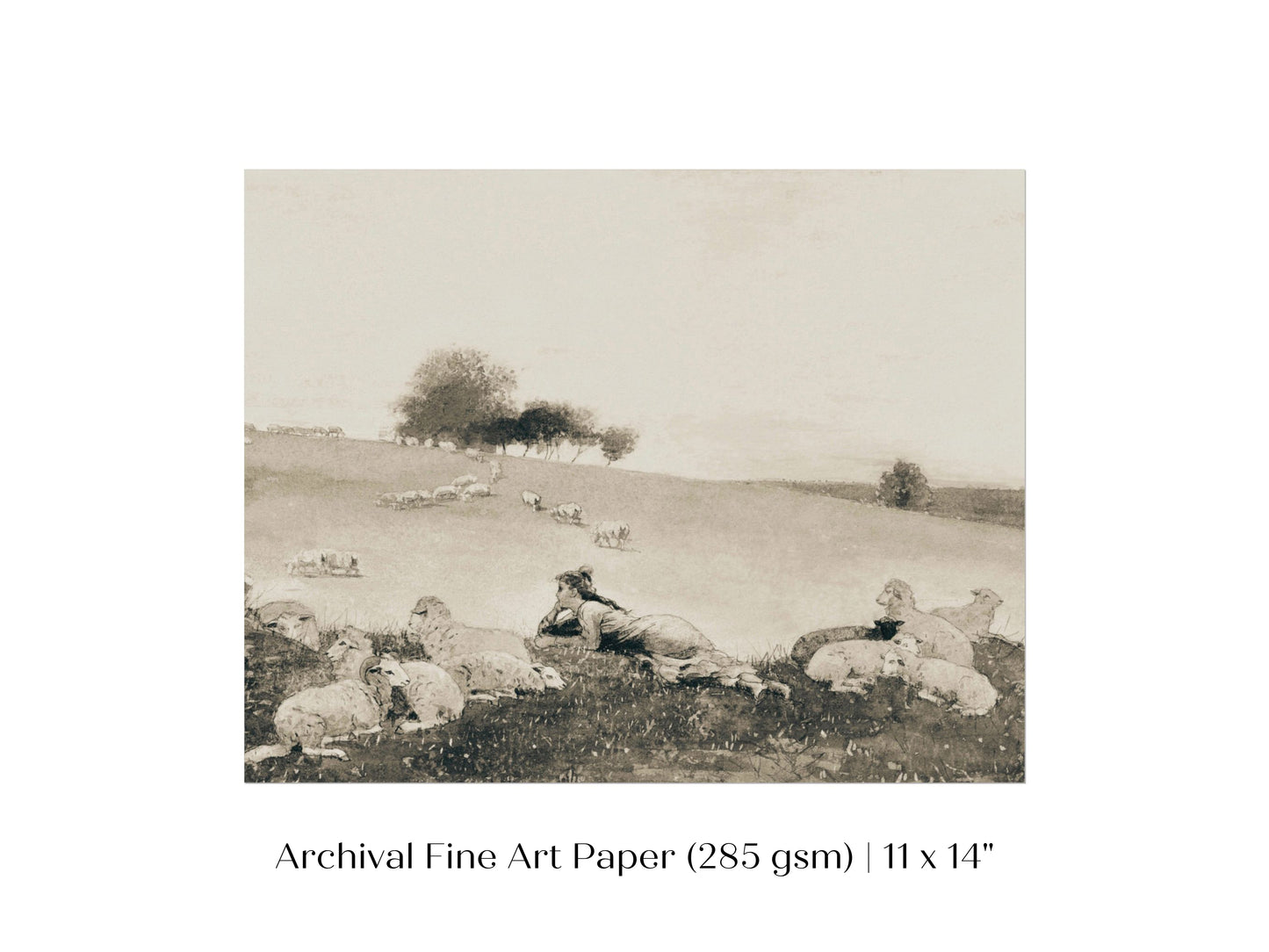 Shepherdess | P397