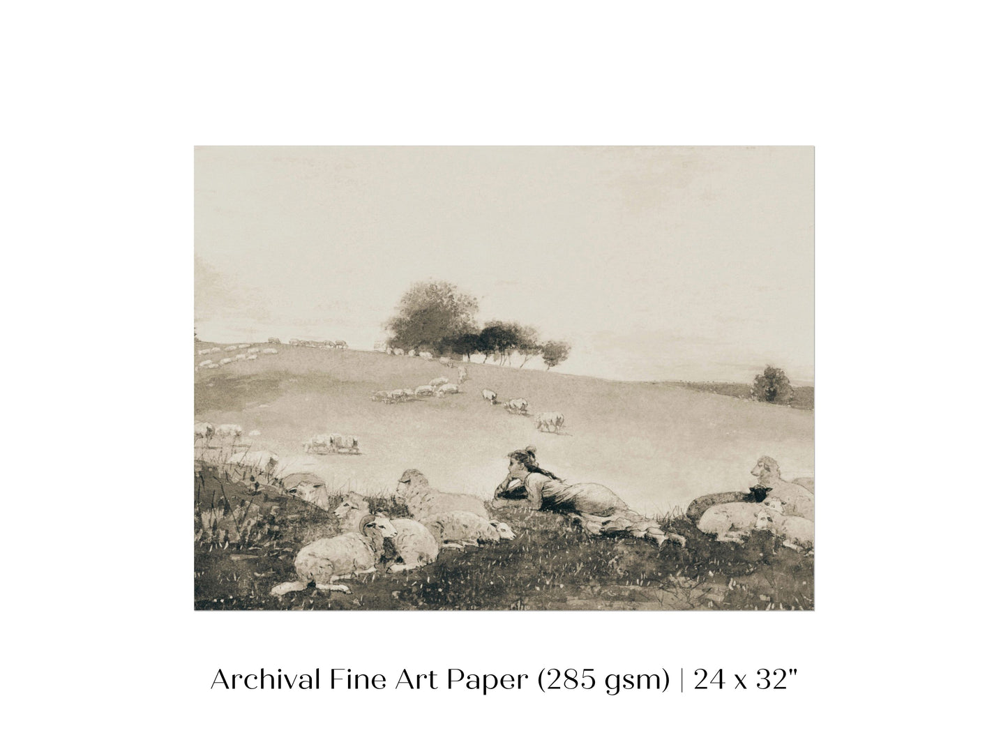Shepherdess | P397