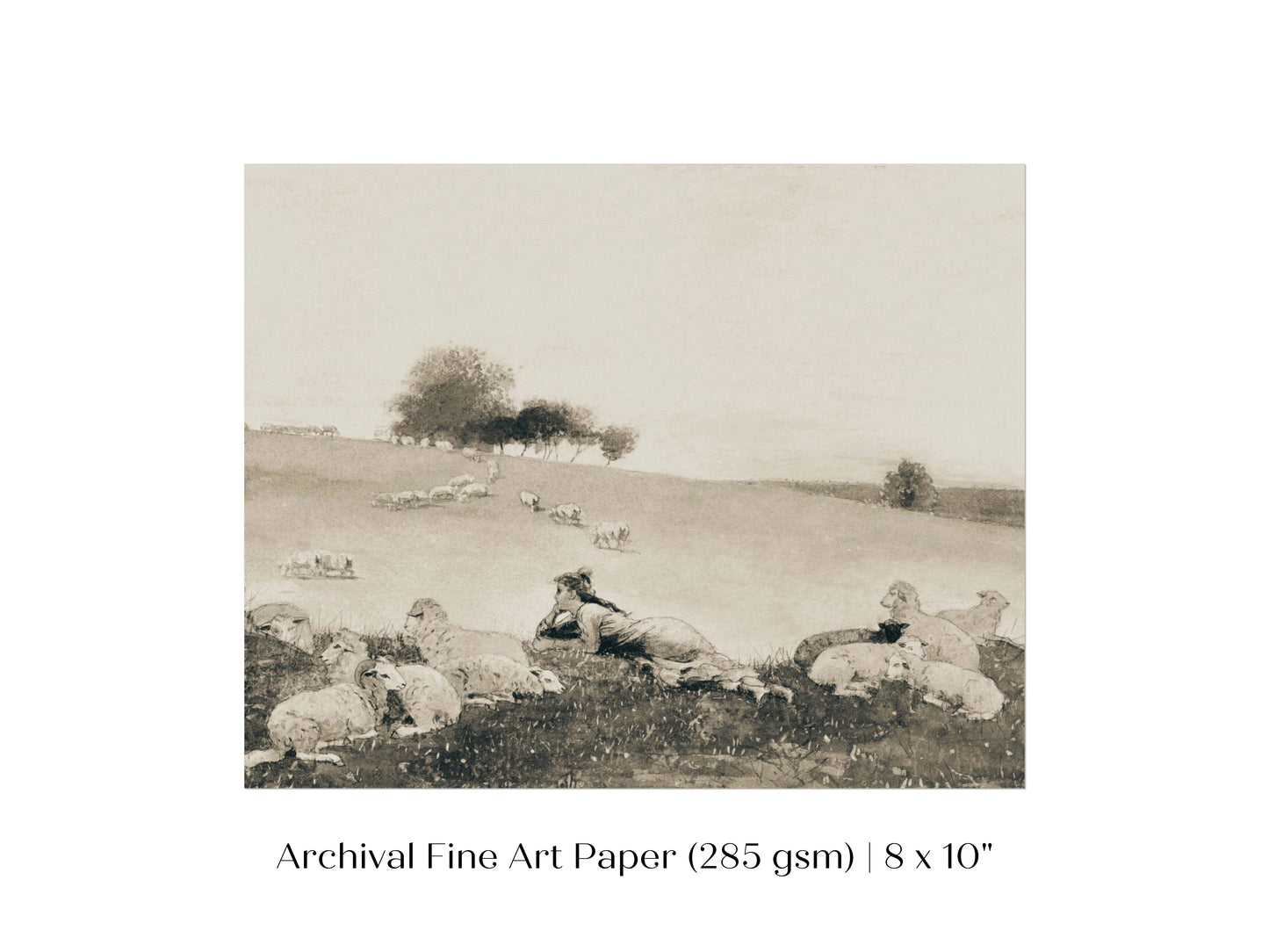 Shepherdess | P397