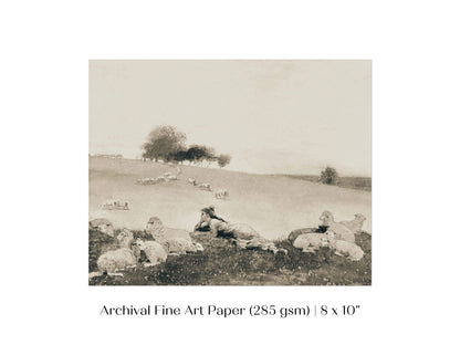 Shepherdess | P397