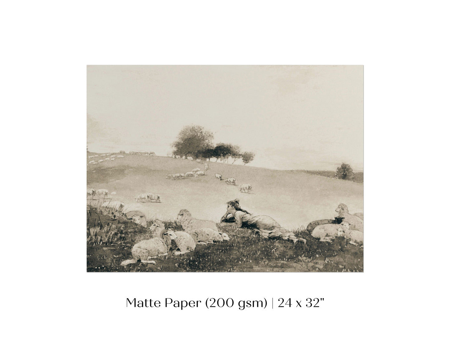Shepherdess | P397