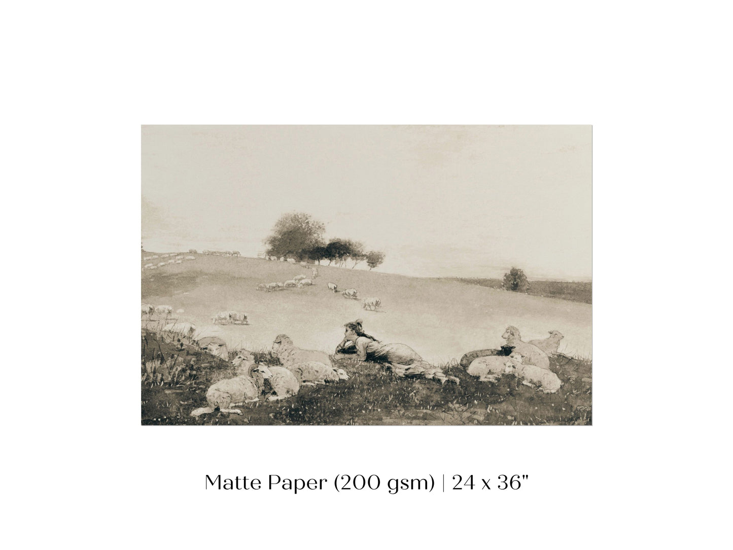 Shepherdess | P397