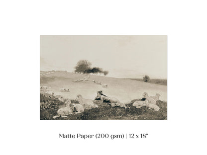 Shepherdess | P397