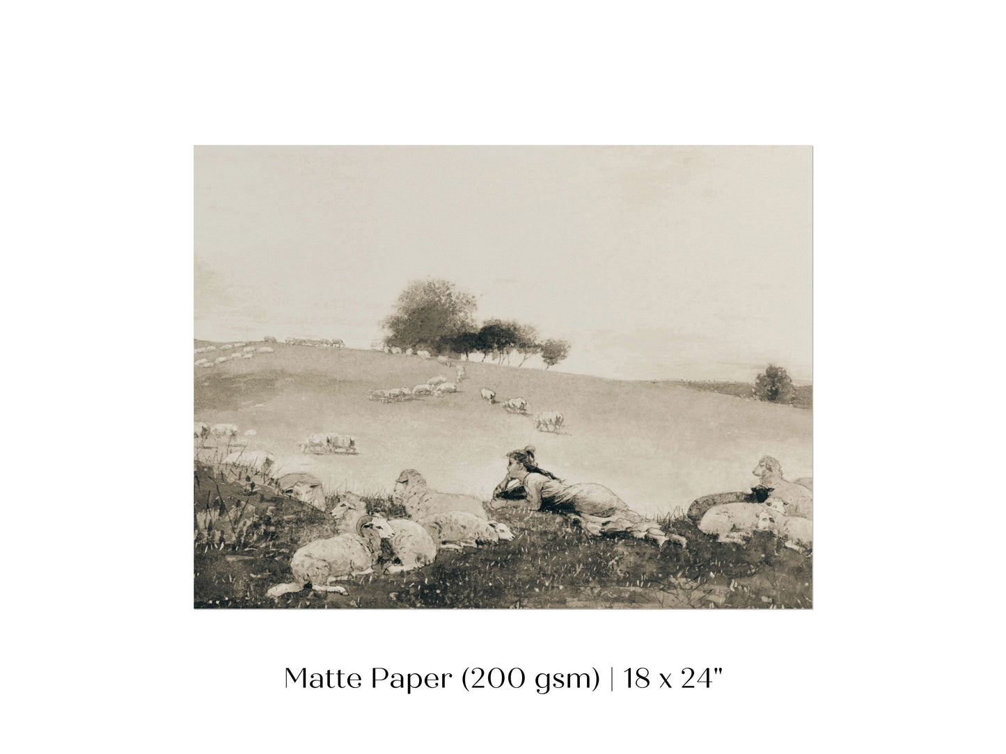 Shepherdess | P397