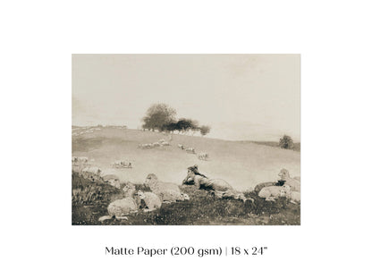 Shepherdess | P397