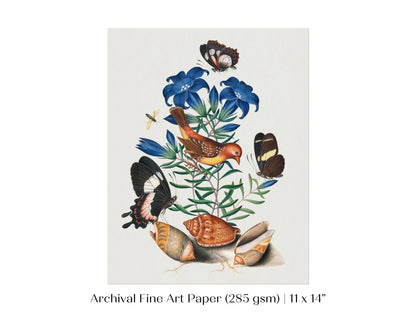 Bird, Shells and Butterflies | P158