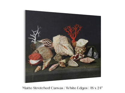 Still Life with Shells and Coral | P429
