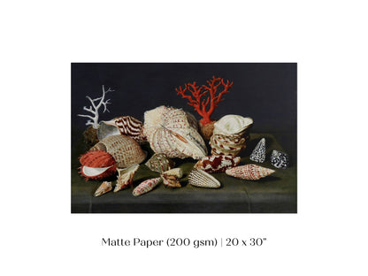 Still Life with Shells and Coral | P429