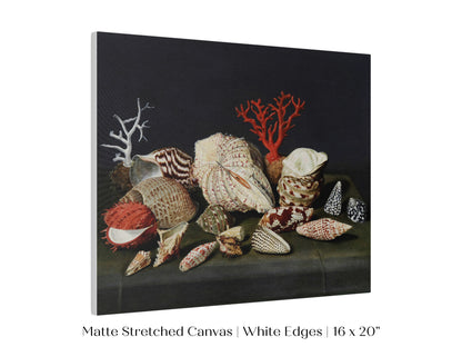 Still Life with Shells and Coral | P429