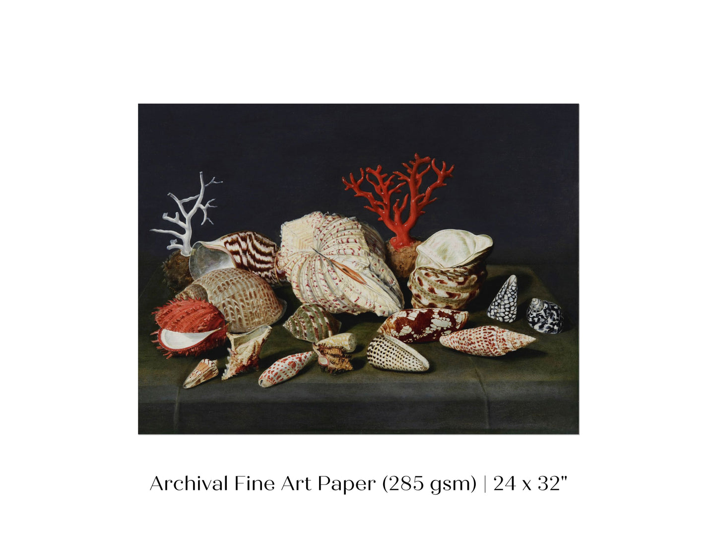 Still Life with Shells and Coral | P429