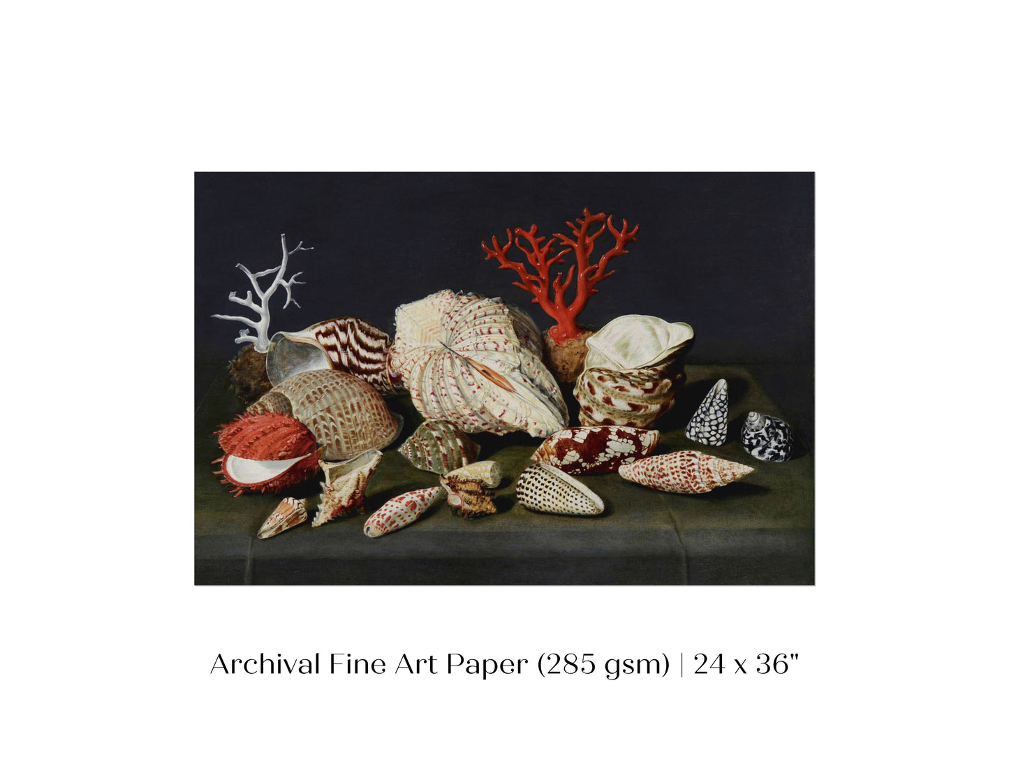 Still Life with Shells and Coral | P429