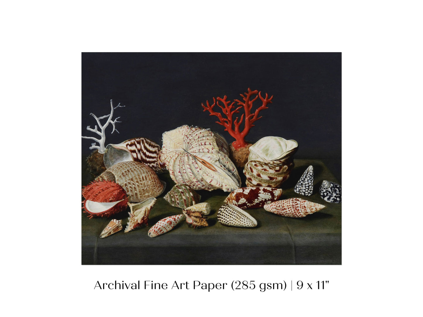 Still Life with Shells and Coral | P429