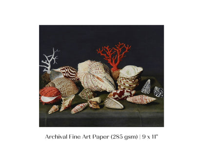 Still Life with Shells and Coral | P429