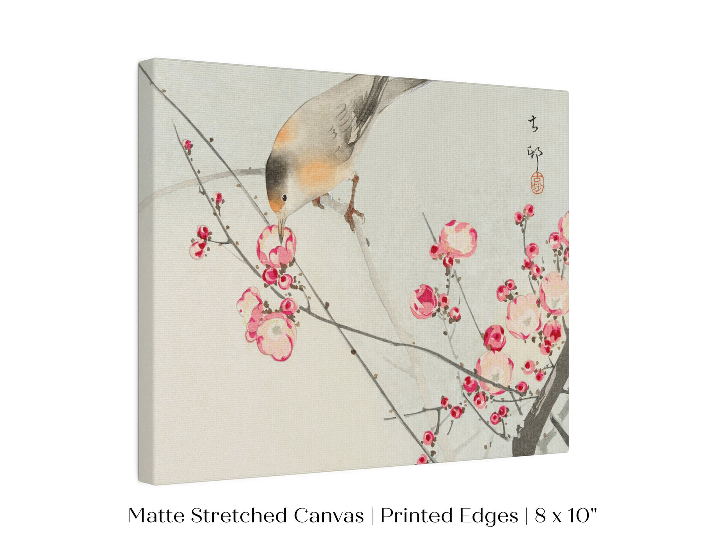 Songbird on Blossom Branch | P147