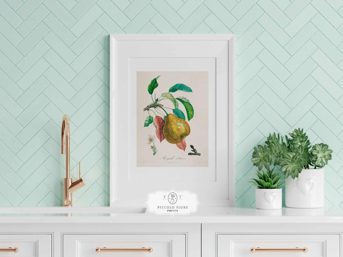 Pear | Botanical Illustration | P181
