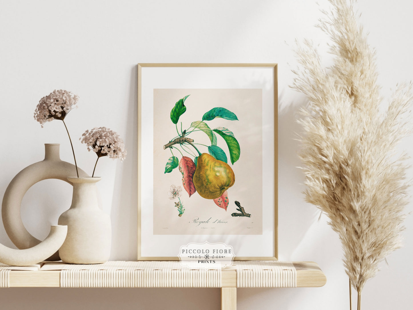 Pear | Botanical Illustration | P181