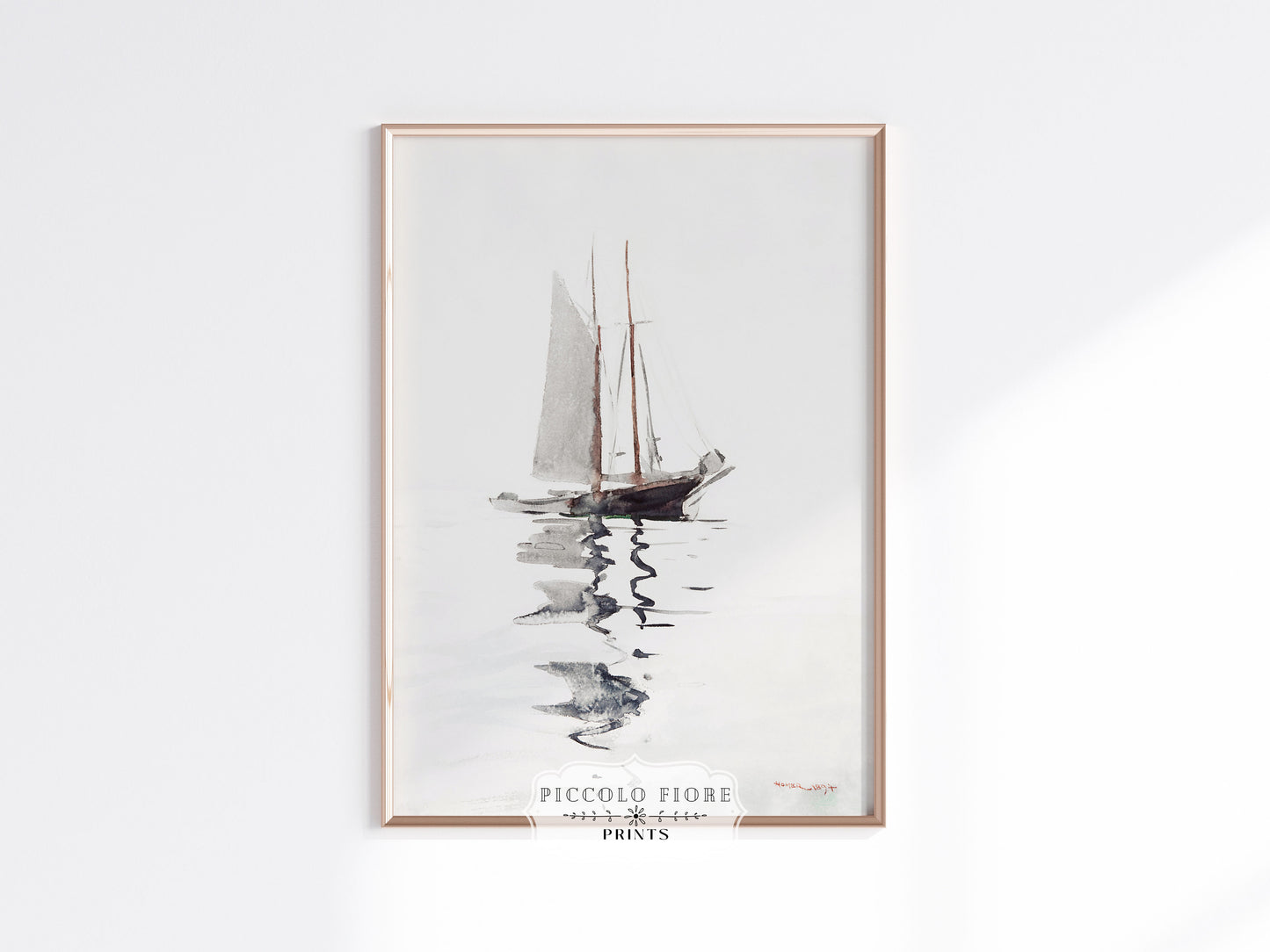 Schooner | P73