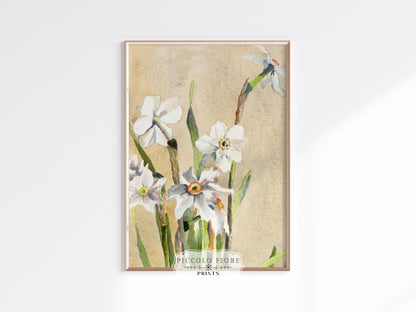 White Narcissus | P77