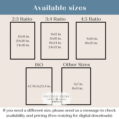 Bird, Shells and Butterflies | Digital Download | P158