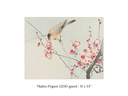 Songbird on Blossom Branch | P147
