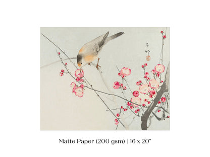 Songbird on Blossom Branch | P147