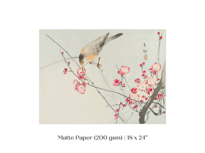 Songbird on Blossom Branch | P147