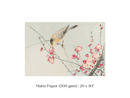 Songbird on Blossom Branch | P147