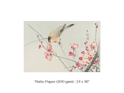 Songbird on Blossom Branch | P147