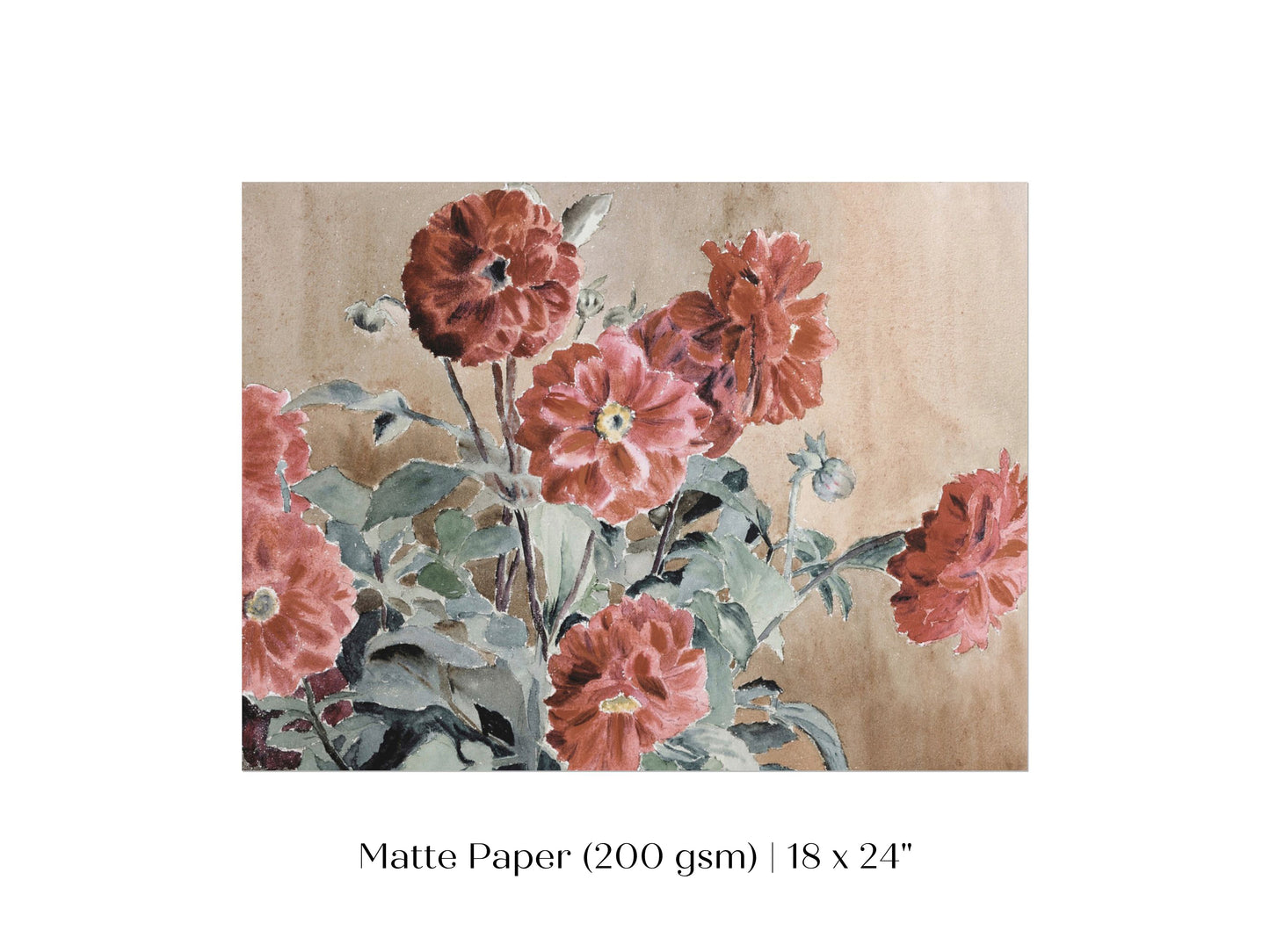 Dahlias | P390