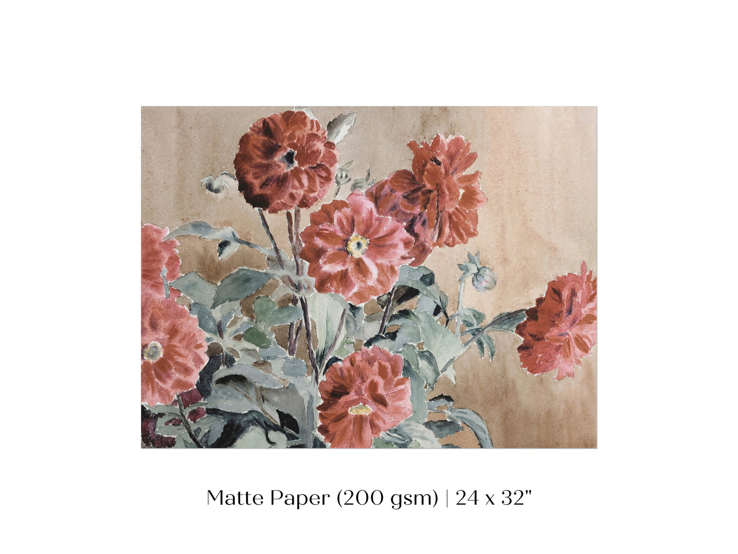 Dahlias | P390