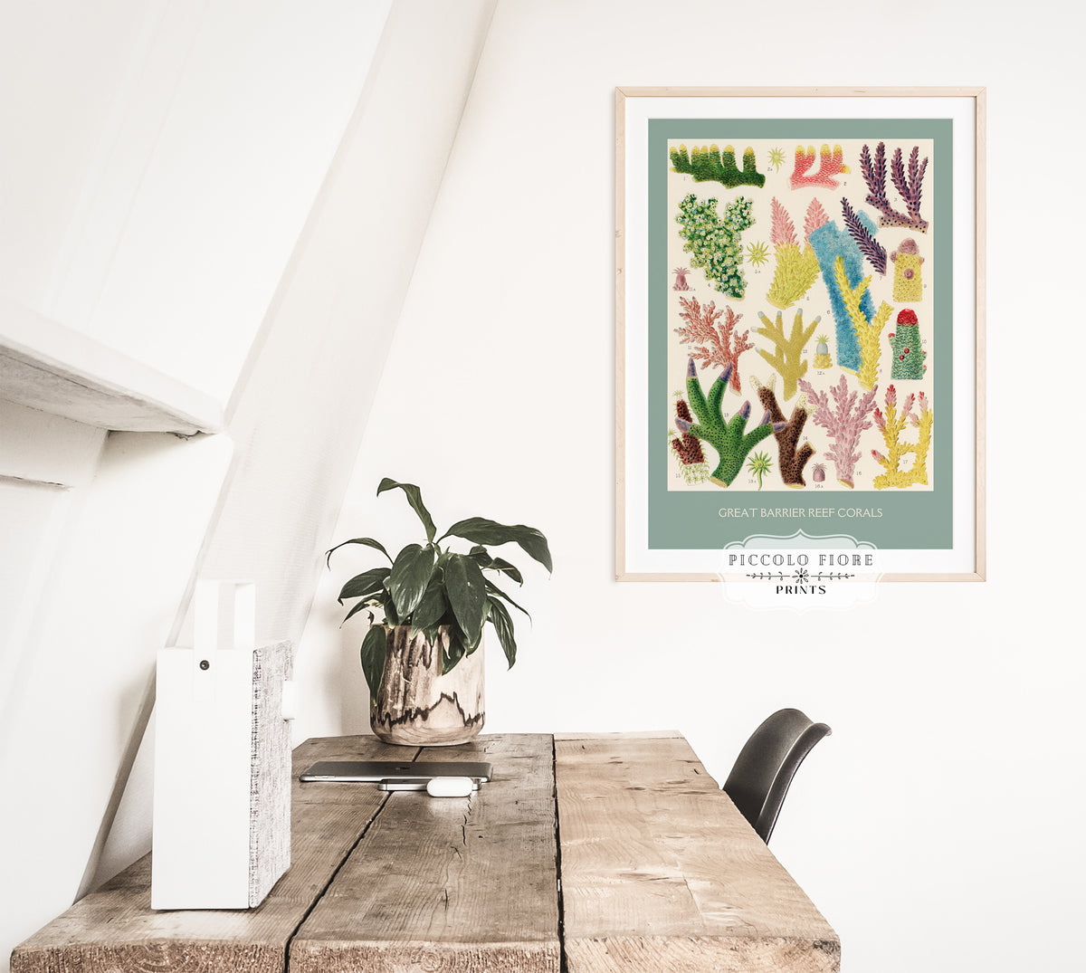 Great Barrier Reef Coral | Digital Download | P501