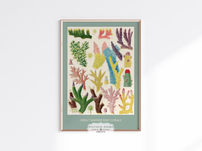 Great Barrier Reef Coral | P501