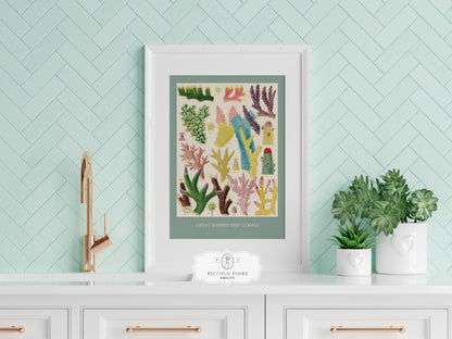 Great Barrier Reef Coral | P501